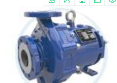 美國(guó)Ruhrpumpen懸臂泵Ruhrpumpen軸承泵