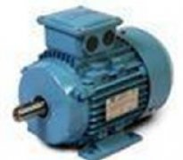 意大利NERI MOTORI變頻電機(jī)