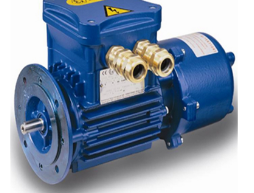 意大利 CEMP防爆電機