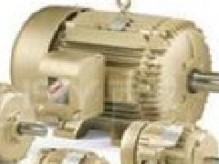 西班牙KELVIN電機(jī)