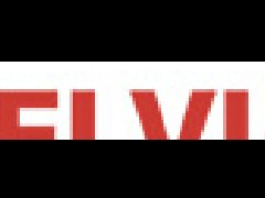 意大利ELVI電動機(jī)