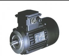 意大利CARPANELLI特殊發(fā)電機